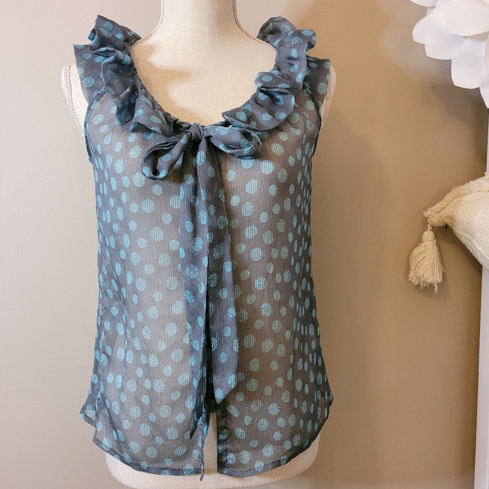 Banana republic top sheer polka dot ruffle dainty